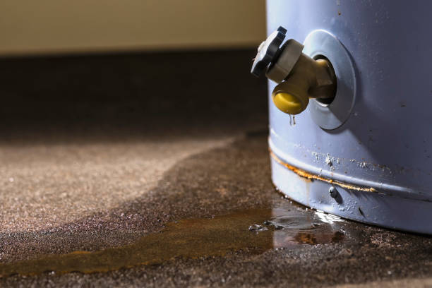 Trusted IN Water damage restoration Experts