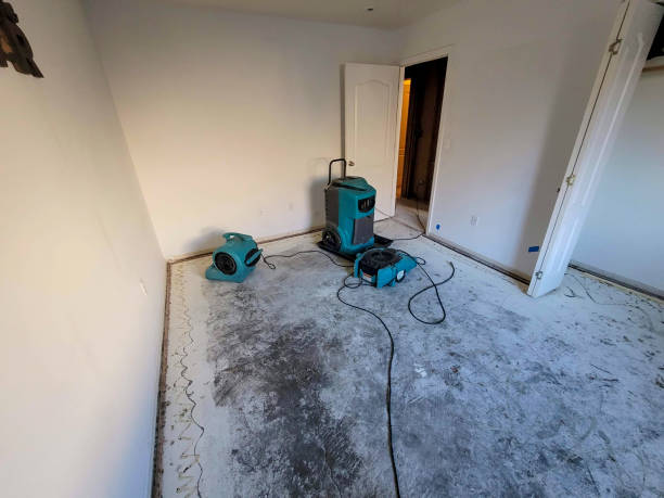 Best 24/7 water damage repair  in Clton, IN