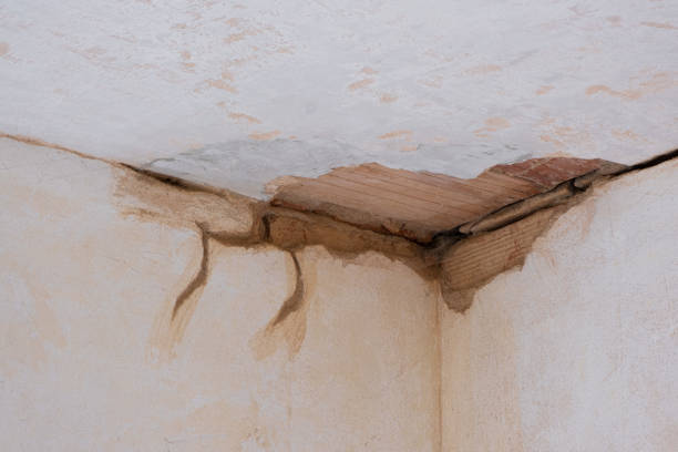 Best Water damage restoration cost  in Clton, IN