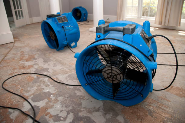  Clton, IN Water damage restoration Pros