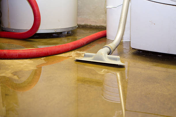 Best Ceiling water damage repair  in Clton, IN