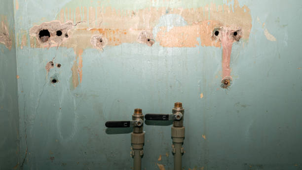 Best Water damage restoration company  in Clton, IN