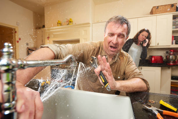 Best Professional water damage repair  in Clton, IN